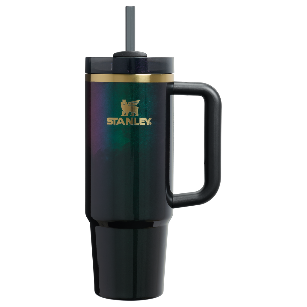 Car-Cup Friendly The Wicked for Good Quencher H2.0 Flowstate Tumbler D246P - Premium Stainless Steel Straw Cup for All-Day Hydration - Elphaba For Good