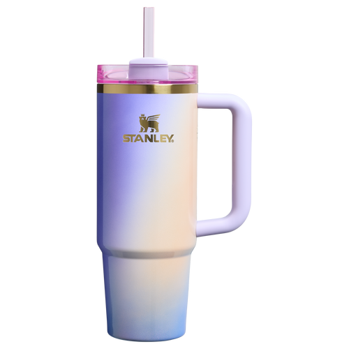 Car-Cup Friendly The Wicked for Good Quencher H2.0 Flowstate Tumbler D246P - Premium Stainless Steel Straw Cup for All-Day Hydration - Glinda For Good