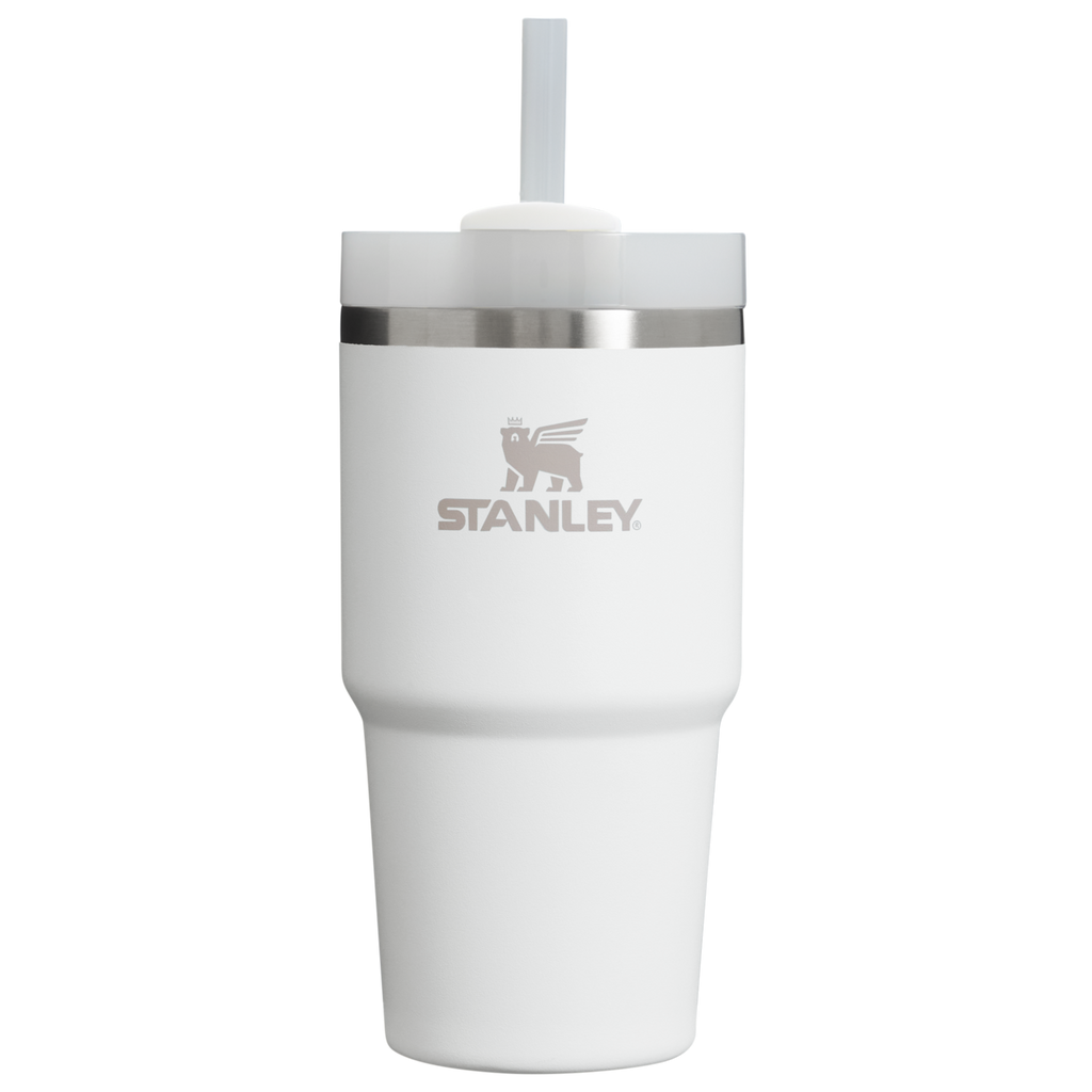 Car-Cup Friendly The Quencher H2.0 Flowstate Tumbler D030T - Double-Wall Vacuum Insulated Travel Tumbler with Straw - Frost