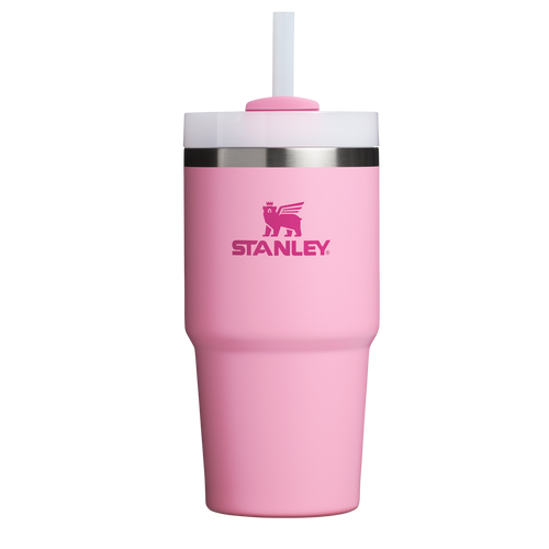 Car-Cup Friendly The Quencher H2.0 Flowstate Tumbler D030T - Double-Wall Vacuum Insulated Travel Tumbler with Straw - Ash